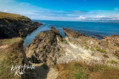 Galley Head, Co. Cork, Ireland